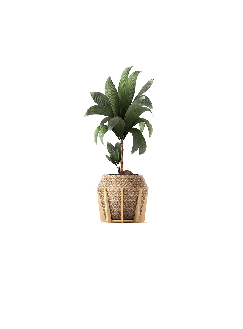 slider_featured_60 d